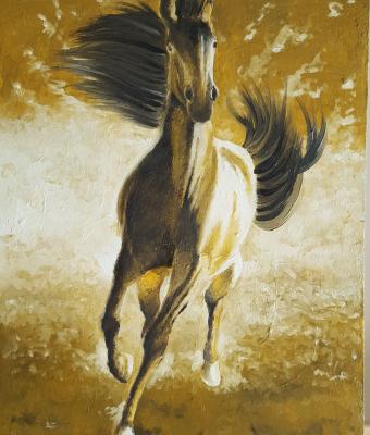 mustang