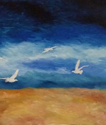 natura-in-movimento