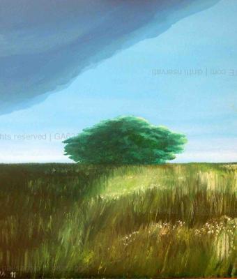 paesaggio-in-passaggio