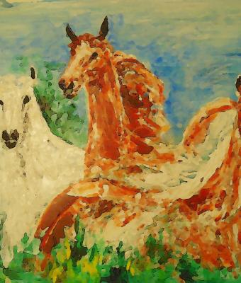 cavalli-arabi
