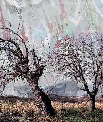 murales-sul-cielo-della-piana