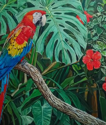 ara-macao-nella-foresta-tropic