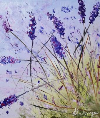 lavanda