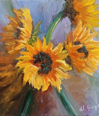 girasoli