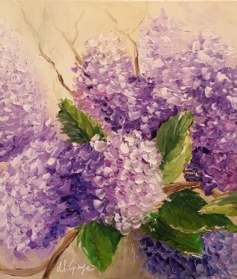 ortensie-e-lill