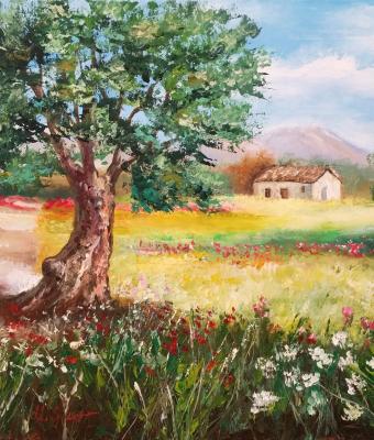 campagna-siciliana