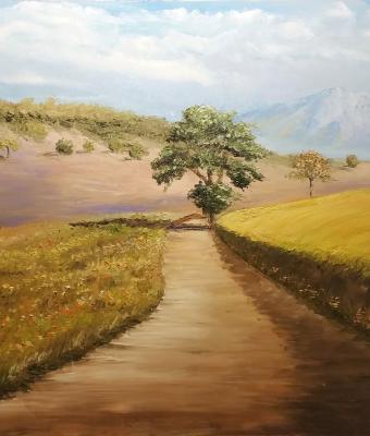 campagna-siciliana