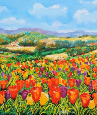 tulipani
