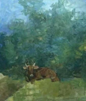 mucca-sotto-il-carrubo