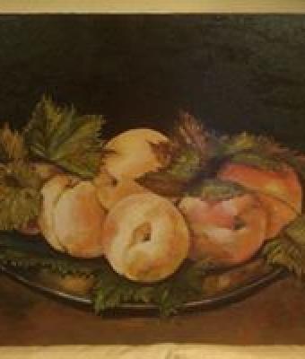 pesche-in-foglie-d-uva