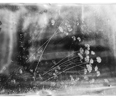 divento-personale-di-simona-ballesio