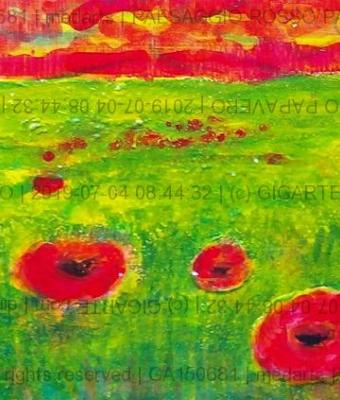 paesaggio-rosso-papavero