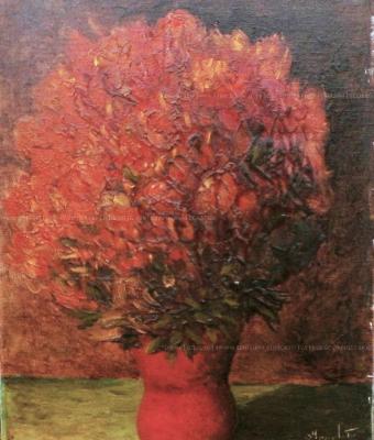fiori