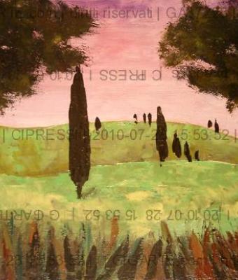 cipressi
