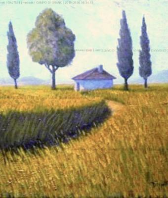 campo-di-grano