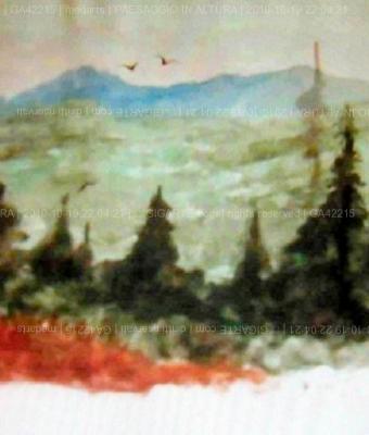 paesaggio-in-altura