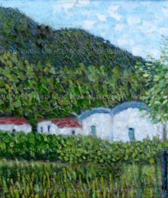 paesaggio-albianese-aulla