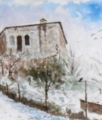 calicesp-sotto-la-neve-il