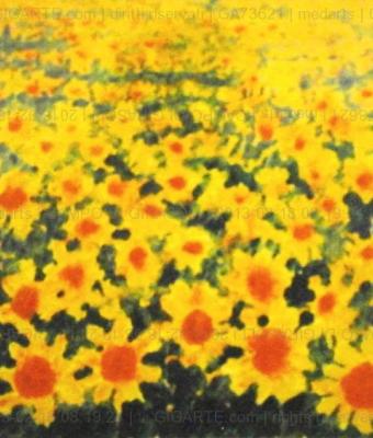 campo-di-girasoli