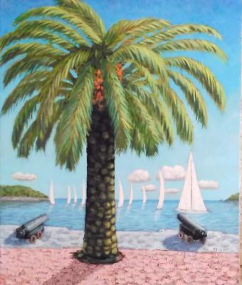 palma-e-vele-spezzine