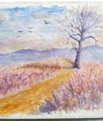 stradina-di-campagna