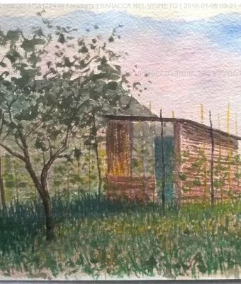 baracca-nel-vigneto