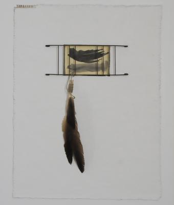 pajarito