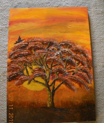 albero-africano