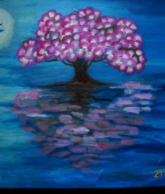 riflessi-rosa