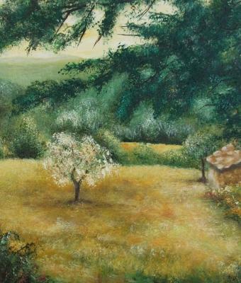primavera