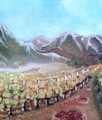 vigneto