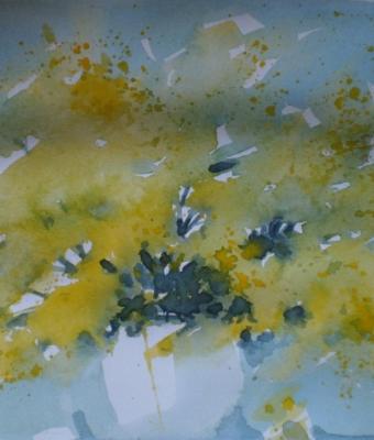 mimose-acquarello-2012-15
