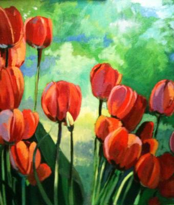 tulipani