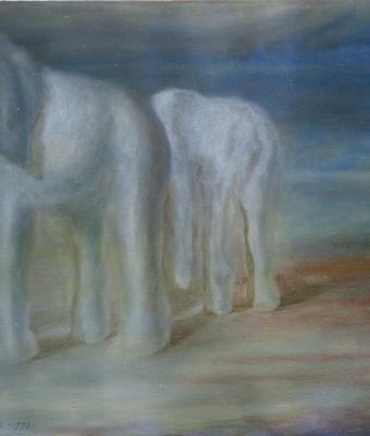 elefanti-in-un-sogno