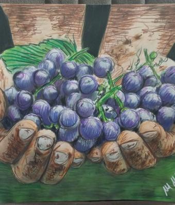 vendemmia