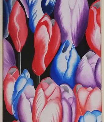tulipani