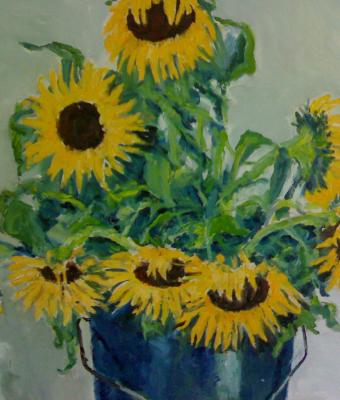 girasoli