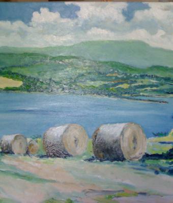 campo-di-grano-al-lago-di-bila