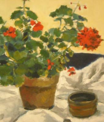 vaso-di-gerani-rossi
