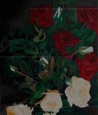 rose-bianche-e-rosse