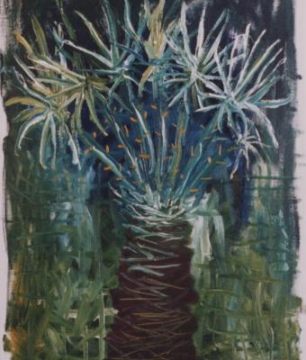 palm