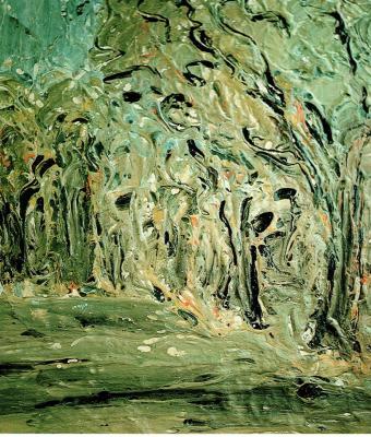 ulivi-nella-campagna-pugliese