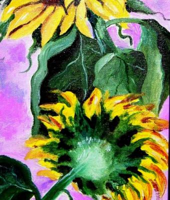 girasoli-2