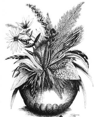 fiori