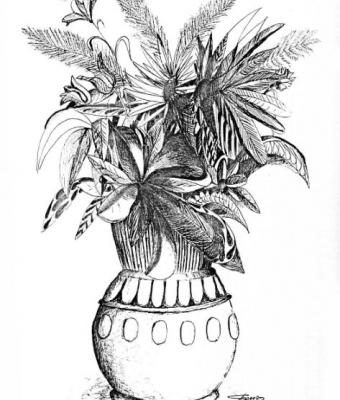 fiori