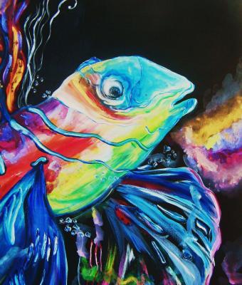 il-pesce