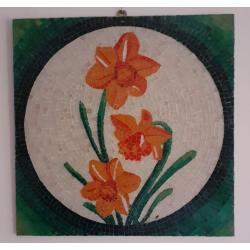 3-narcisi