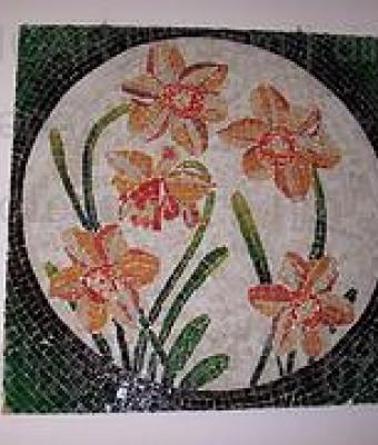 5-narcisi