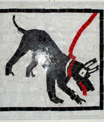 cave-canem