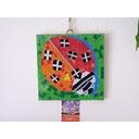 lady-bird-coccinella